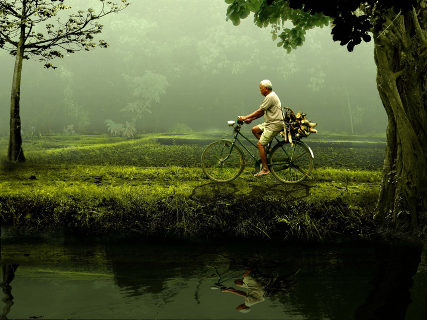 Man, Old, Bicycle image. Free for use.